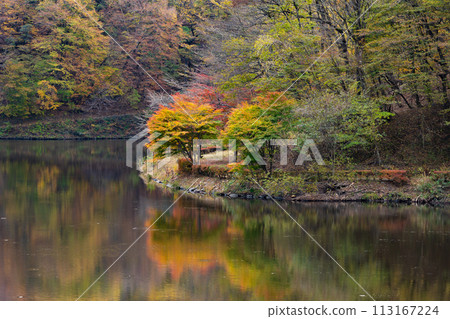 群馬縣安中市的秋天、紅葉的 Abt 路、碓冰湖 群馬縣安中市的秋天、紅葉的 Abt 路、碓冰湖 113167224
