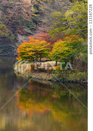 Autumn in Annaka City, Gunma Prefecture, Abt Road with autumn leaves, Lake Usui Autumn in Annaka City, Gunma Prefecture, Abt Road with autumn leaves, Lake Usui 113167226