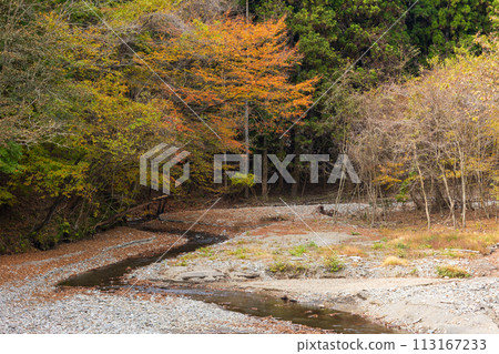 群馬縣安中市的秋天、紅葉的 Abt 路、碓冰湖 群馬縣安中市的秋天、紅葉的 Abt 路、碓冰湖 113167233