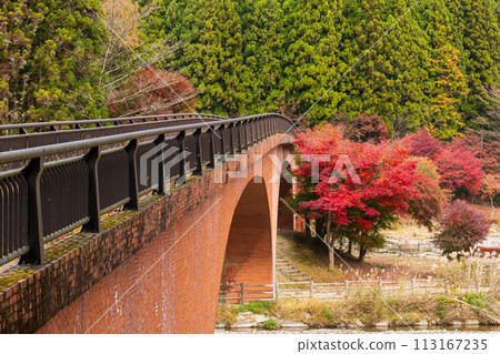 Autumn in Annaka City, Gunma Prefecture, Abt Road with autumn leaves, Lake Usui Autumn in Annaka City, Gunma Prefecture, Abt Road with autumn leaves, Lake Usui 113167235