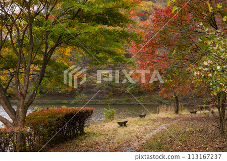 群馬縣安中市的秋天、紅葉的 Abt 路、碓冰湖 113167237