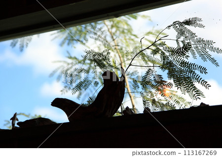 絲滿北名城海灘 113167269