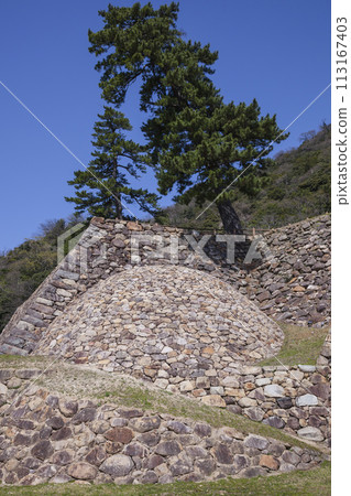 Landscape of round stone wall at castle ruins Tottori Prefecture Tottori Castle ruins Tenkyumaru Landscape of round stone wall at castle ruins Tottori Prefecture Tottori Castle ruins Tenkyumaru 113167403