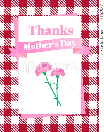 THANKS MOTHER'S DAY pink carnation and plaid frame 113167987