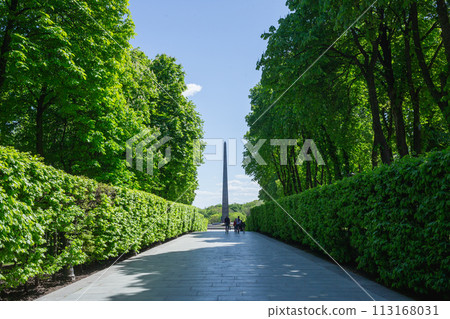 【烏克蘭】首都基輔通往無名烈士紀念碑的街道兩旁綠樹籬笆和路邊樹木 113168031