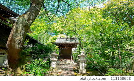 大鳥神社是熊野神社境內的神社，周圍綠意盎然 113168698