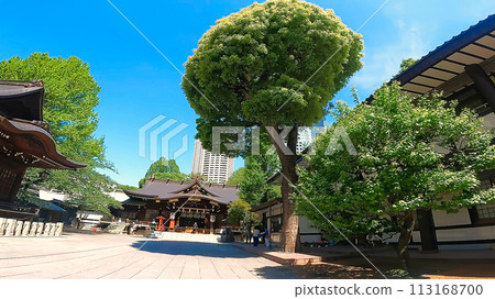 Junisha Kumano Shrine, Nishi-Shinjuku, Shinjuku-ku, Tokyo 113168700