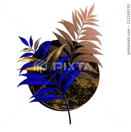 Blue fern on black circle Blue fern on black circle 113169310