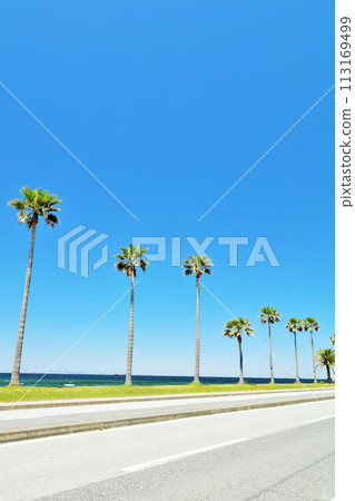 Chiba Prefecture Blue Sky Chiba Fornia Chiba Prefecture Blue Sky Chiba Fornia 113169499