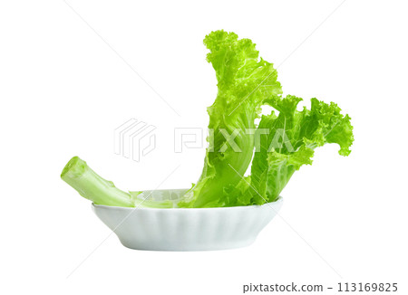 Lettuce leaf with bowl isolated,Green leaves pattern ,Salad ingredient 113169825