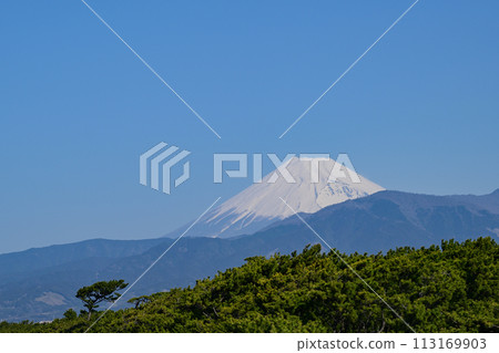 Mt. Fuji from Senbon Hama 113169903