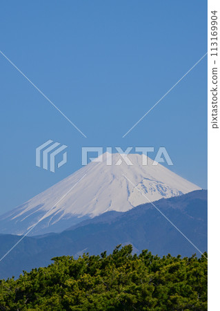 Mt. Fuji from Senbon Hama 113169904