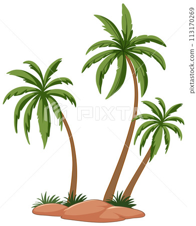 Tropical Palm Trees Vector Illustration 113170269