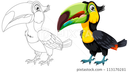 Colorful Toucan and Its Line Art 113170281