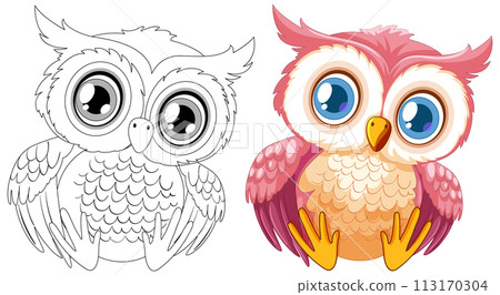 Colorful Owl Illustration Before and After Colorful Owl Illustration Before and After 113170304