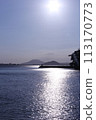 海 113170773