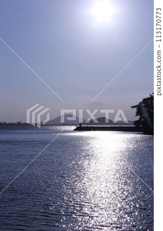 海 113170773
