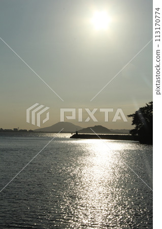 海 113170774