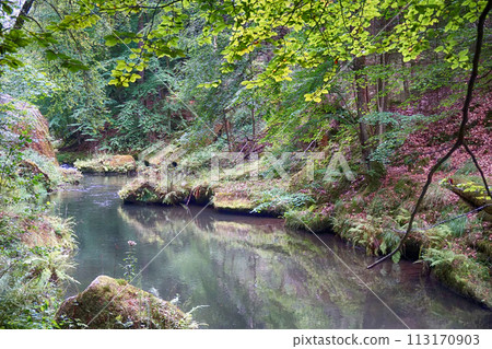 river from the bohemian switzerland river from the bohemian switzerland 113170903