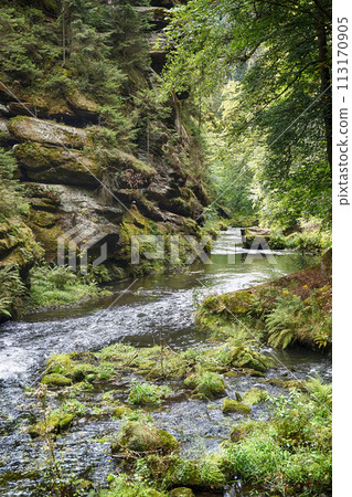 river from the bohemian switzerland river from the bohemian switzerland 113170905