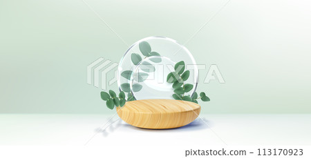 Wooden platform with eucalyptus branch Wooden platform with eucalyptus branch 113170923