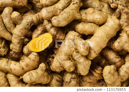 薑黃薑黃 113170955