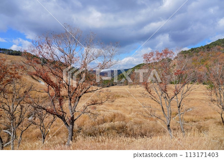 蔚藍天空映襯的殿峰高原秋景 113171403