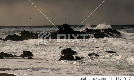 冬季海岸與閃亮的白色波浪 冬季海岸與閃亮的白色波浪 113171567