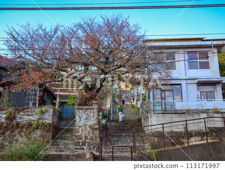 Onomichi walk 113171997