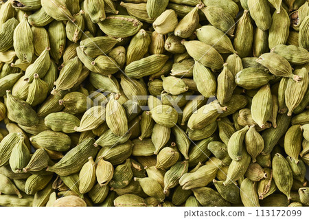 小荳蔻 小荳蔻 113172099