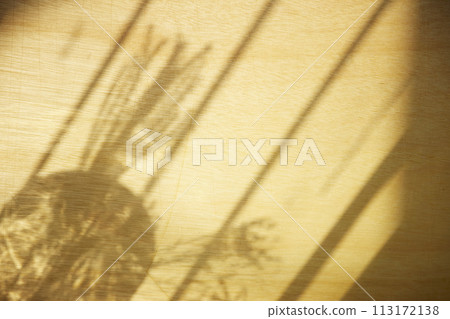 A sunny window and the shadow of a plant that can be used as a design background. 113172138