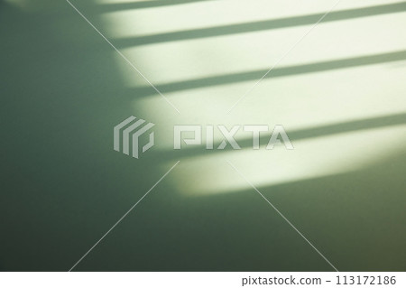 A sunny window and the shadow of a plant that can be used as a design background. 113172186