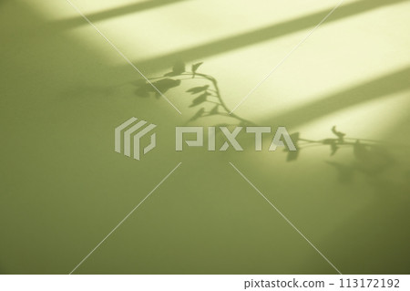 A sunny window and the shadow of a plant that can be used as a design background. 113172192