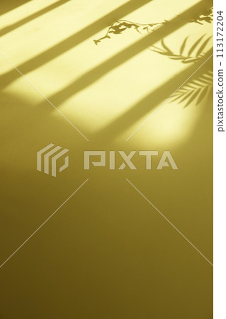 A sunny window and the shadow of a plant that can be used as a design background. A sunny window and the shadow of a plant that can be used as a design background. 113172204