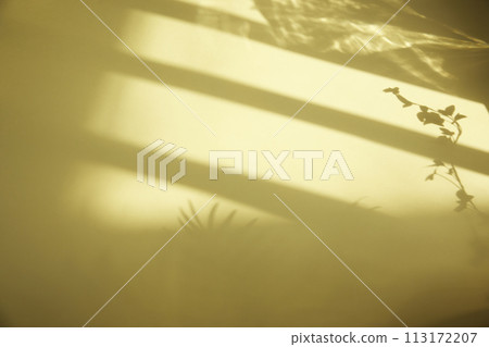 A sunny window and the shadow of a plant that can be used as a design background. 113172207