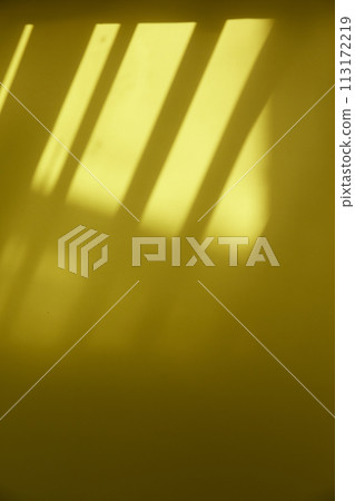 A sunny window and the shadow of a plant that can be used as a design background. A sunny window and the shadow of a plant that can be used as a design background. 113172219