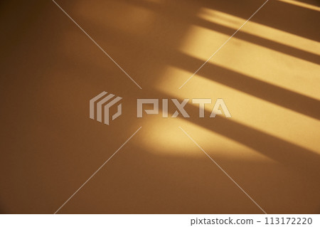 A sunny window and the shadow of a plant that can be used as a design background. 113172220