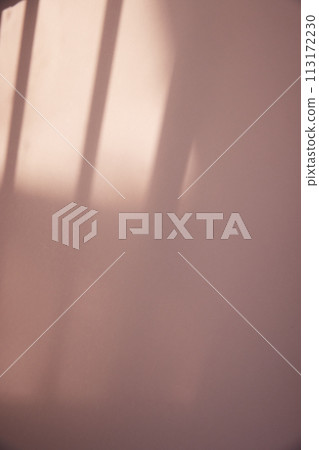 A sunny window and the shadow of a plant that can be used as a design background. 113172230