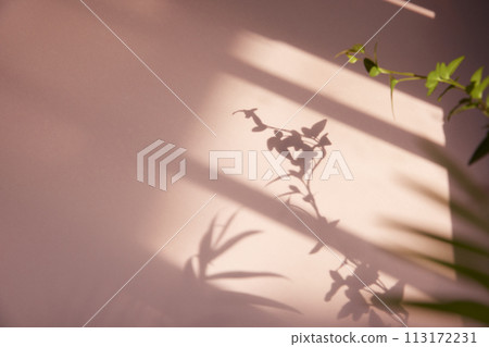 A sunny window and the shadow of a plant that can be used as a design background. 113172231