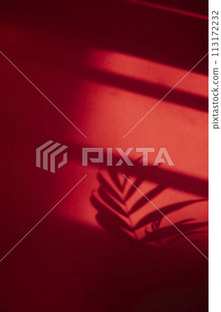 A sunny window and the shadow of a plant that can be used as a design background. 113172232