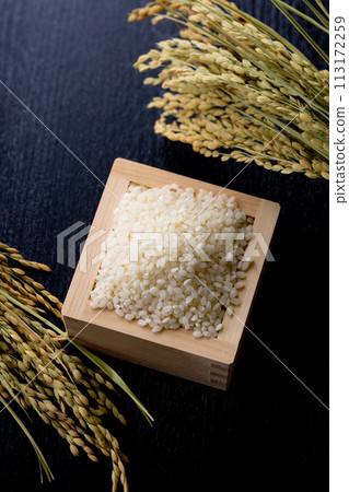 New rice, polished rice New rice, polished rice 113172259