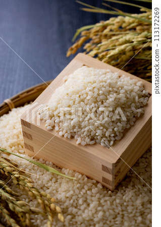 New rice, polished rice 113172269