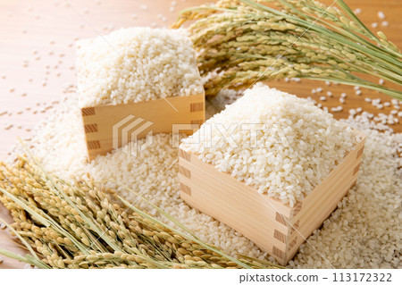 Rice new rice 113172322