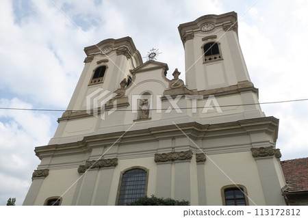 Hungary Eger cityscape 113172812