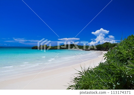 A beautiful beach with emerald green sea, white sand, and subtropical plants. A beautiful beach with emerald green sea, white sand, and subtropical plants. 113174371