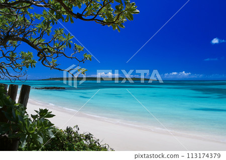 A beach with pure white sand and blue coral reef seen from the shade of trees A beach with pure white sand and blue coral reef seen from the shade of trees 113174379
