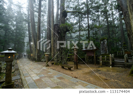 世界遺產高野山,雨中通往奧之院的道路,和歌山縣 世界遺產高野山,雨中通往奧之院的道路,和歌山縣 113174404