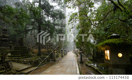 世界遺產高野山,雨中通往奧之院的道路,和歌山縣 世界遺產高野山,雨中通往奧之院的道路,和歌山縣 113174438