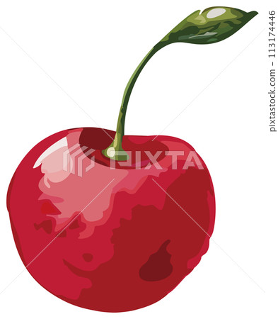 手繪櫻桃插畫 手繪櫻桃插畫 113174446