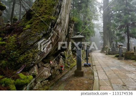 World Heritage Site Koyasan, cobblestone approach to the rainy Okunoin Temple, Wakayama Prefecture 113174536